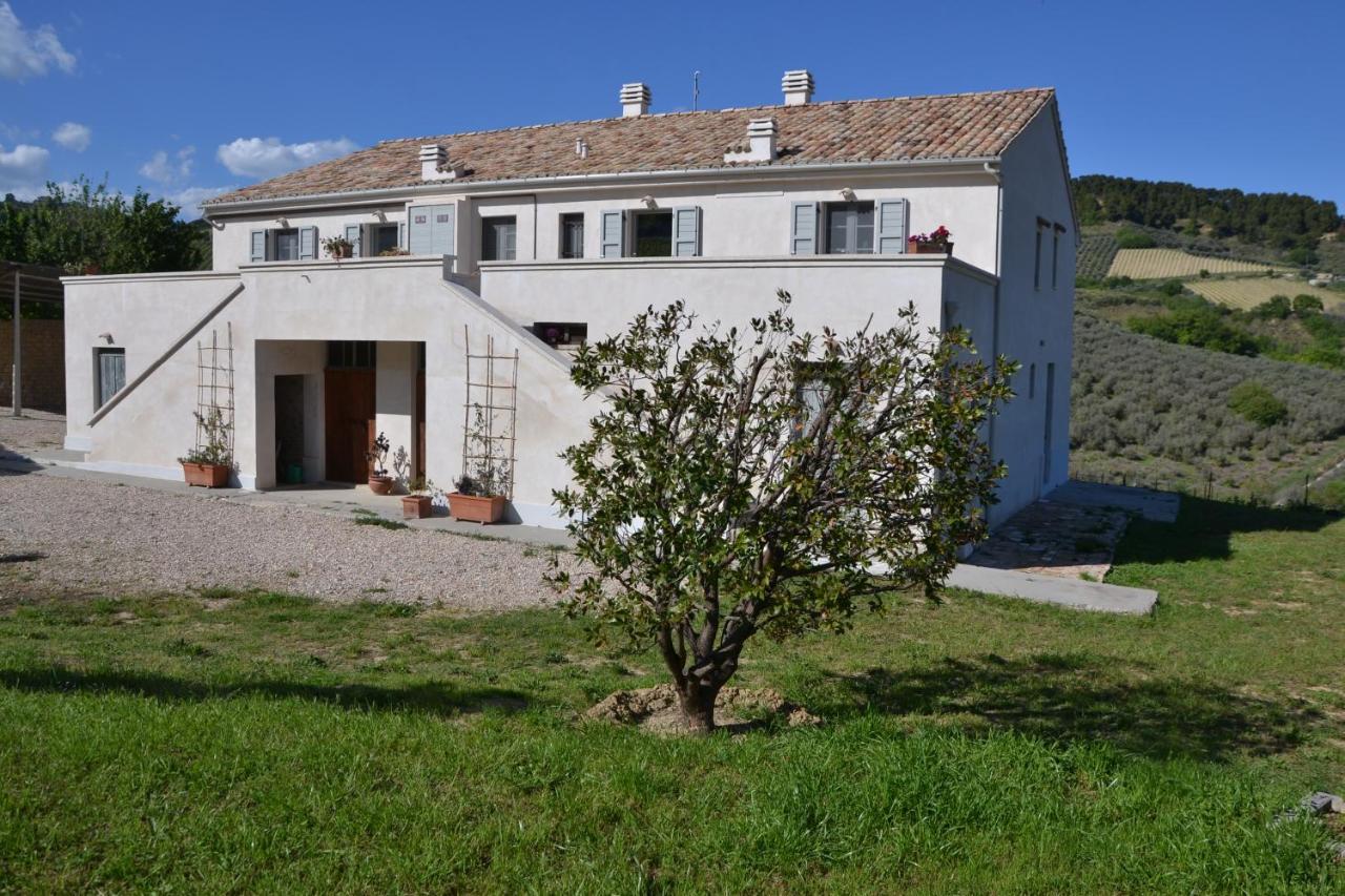 B&B Casale Fonte Vecchia Monteprandone Dış mekan fotoğraf