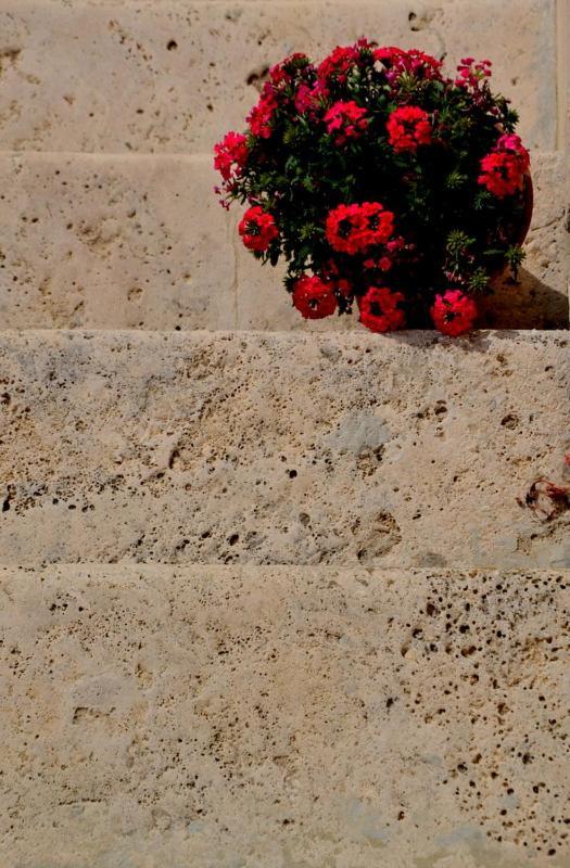 B&B Casale Fonte Vecchia Monteprandone Dış mekan fotoğraf