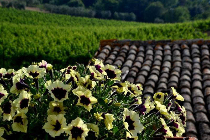 B&B Casale Fonte Vecchia Monteprandone Dış mekan fotoğraf
