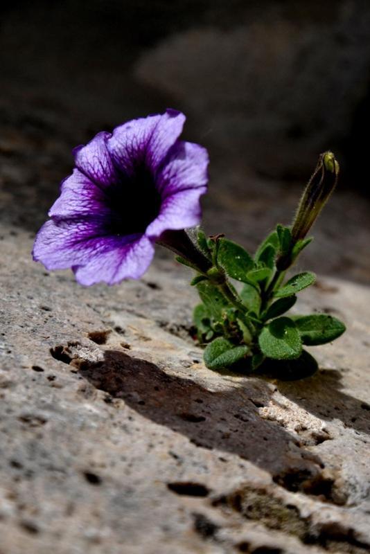 B&B Casale Fonte Vecchia Monteprandone Dış mekan fotoğraf