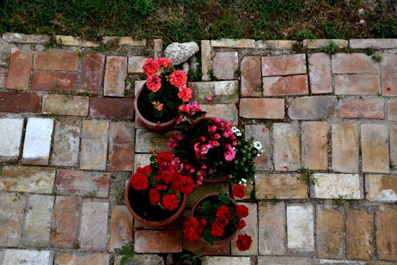 B&B Casale Fonte Vecchia Monteprandone Dış mekan fotoğraf