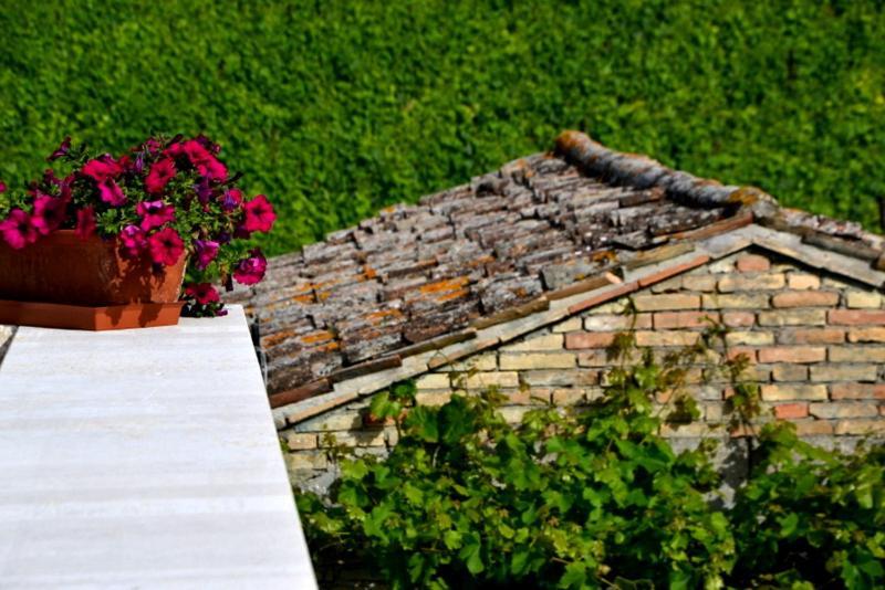 B&B Casale Fonte Vecchia Monteprandone Dış mekan fotoğraf