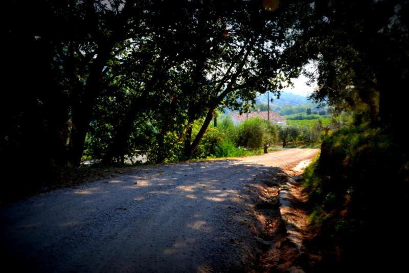 B&B Casale Fonte Vecchia Monteprandone Dış mekan fotoğraf